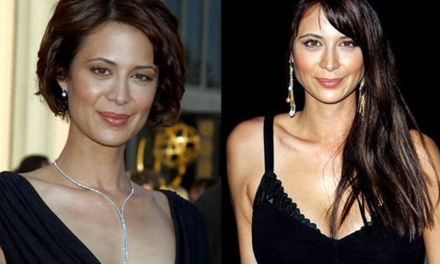 How Catherine Bell Plastic Surgery Has Changed Her Appearance