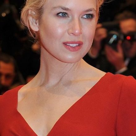 What Experts And Others Have to Say About Renee Zellweger Plastic Surgery?